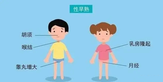 7ef760b98598a6c6b294cd7d359c44484c8e815f.jpg@942w_480h_progressive_副本.jpg